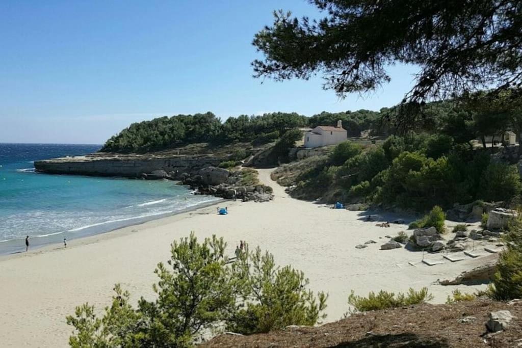 Le Tropical L Calme L Clim L Parking Gratuit